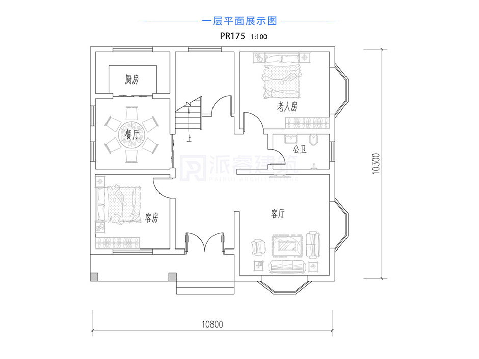 PR175 农村二层小别墅_实用别墅设计图纸,新农村房屋设计,农村自建房别墅图片,派睿建筑