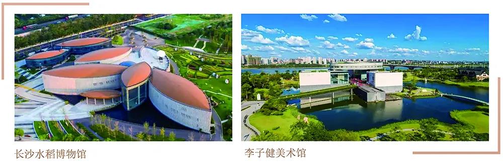 别墅施工.jpg