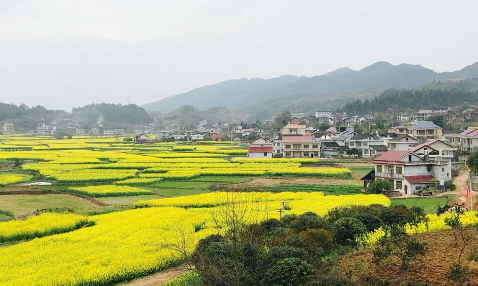 L0348风景.jpg