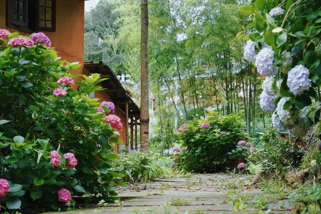 04.jpg