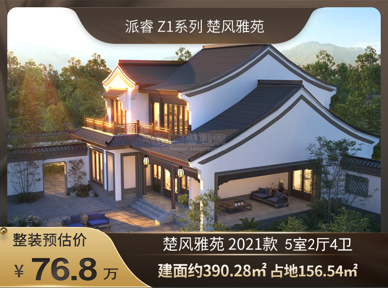 Z1-2021款 标准版