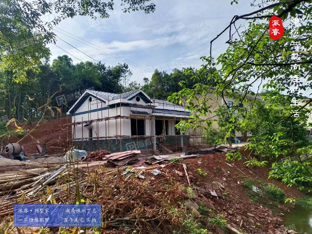 湖南株洲丁先生建一层自建房别墅，如此接地气，这才是父母想要的别墅
